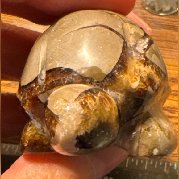 Beautiful Septarian carved turtle, unique gift for any turtle lover! - Picture 1 of 15